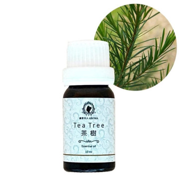 旅行香氛精油組 | 蘇菲夫人心靈芳療香氛