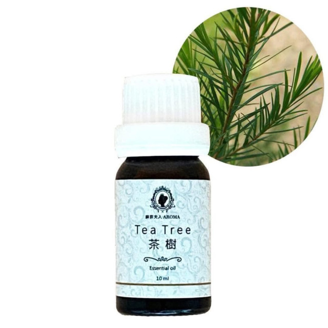 旅行香氛精油組 | 蘇菲夫人心靈芳療香氛