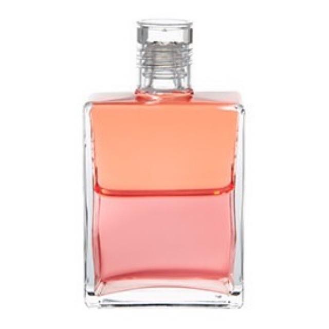 Coral 愛的智慧油 (珊瑚色/珊瑚色) Coral 愛的智慧油 (珊瑚色/珊瑚色)